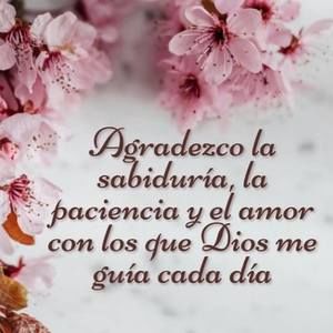 Meet your Posher, Sylvia